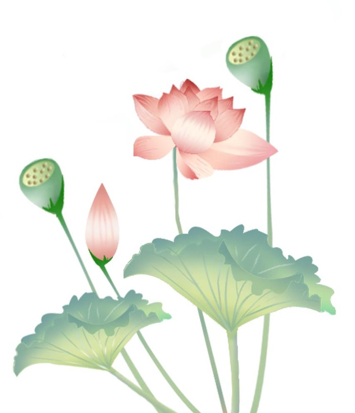 荷花水墨画图片