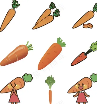 矢量红萝卜素材图片