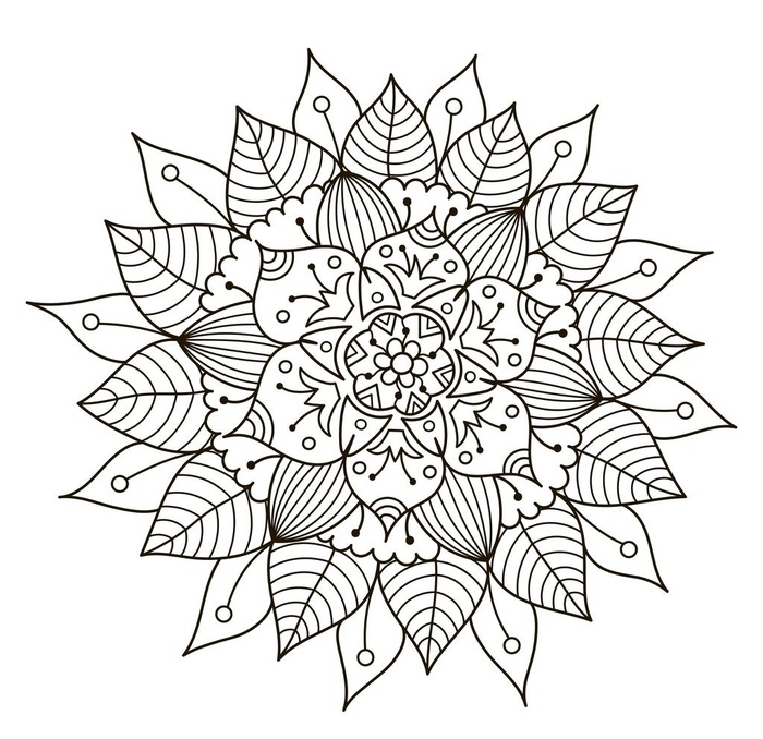 线条花图片ai矢量模版下载