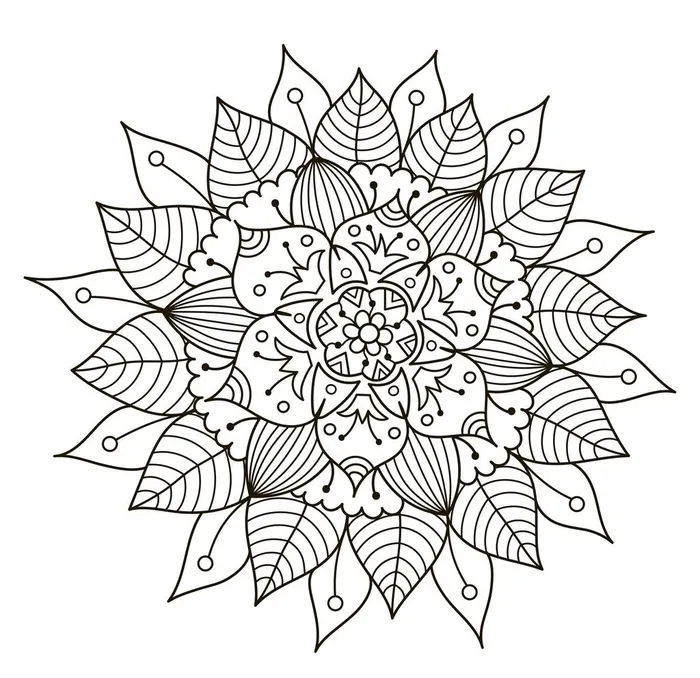 线条花图片ai矢量模版下载