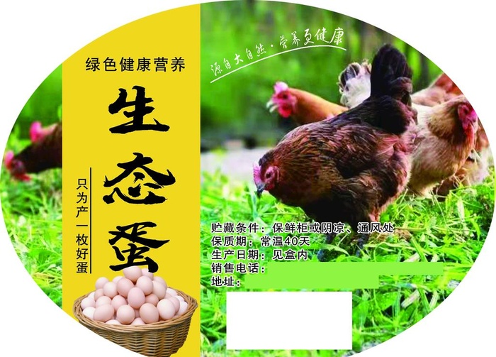 生态土鸡蛋图片