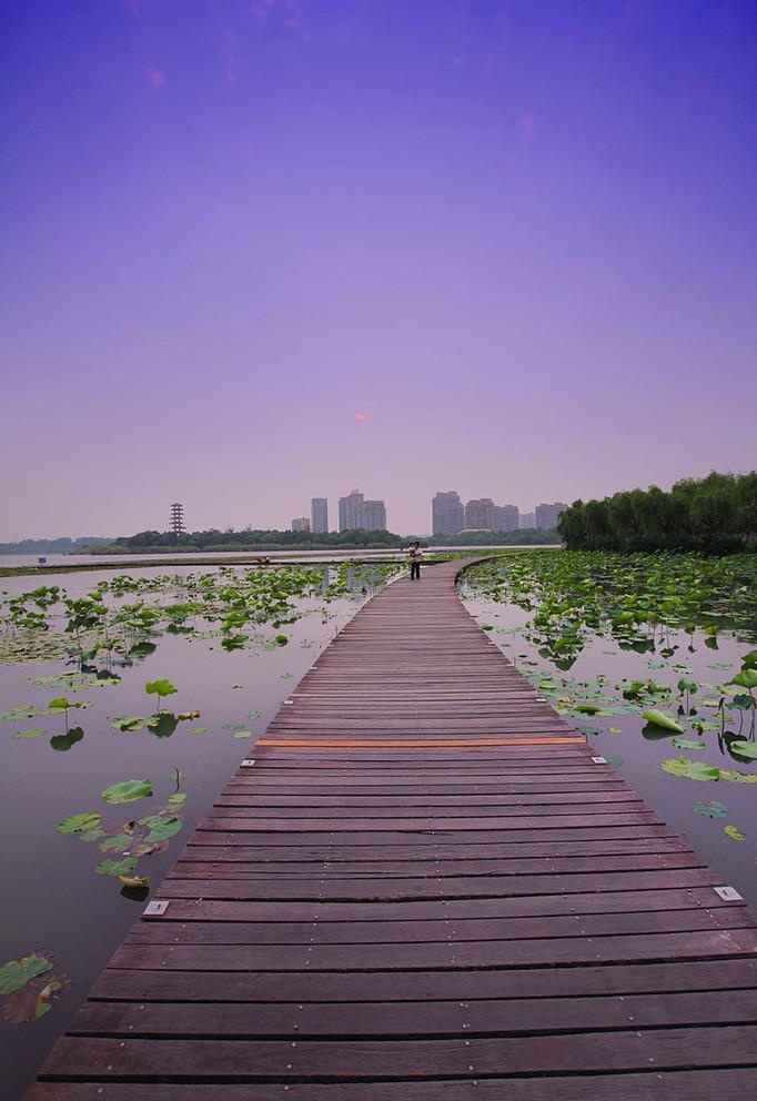 张家港澄阳湖图片