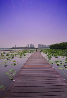 张家港澄阳湖图片
