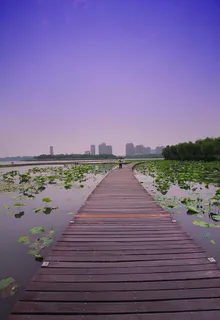 张家港澄阳湖图片