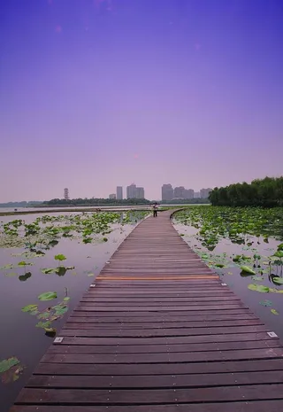 张家港澄阳湖图片