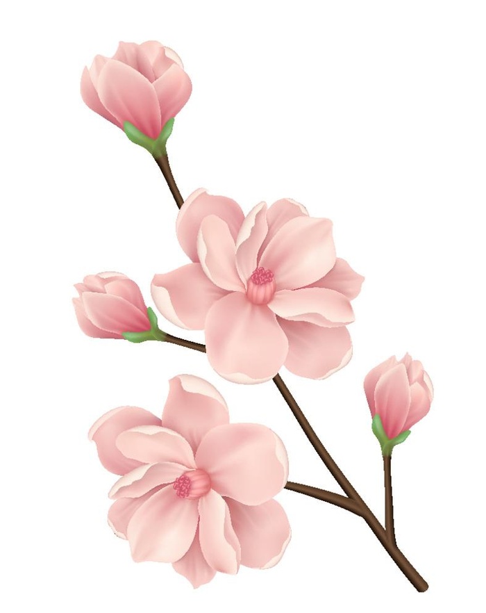 写实风逼真桃花枝图片