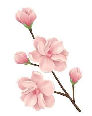 写实风逼真桃花枝图片