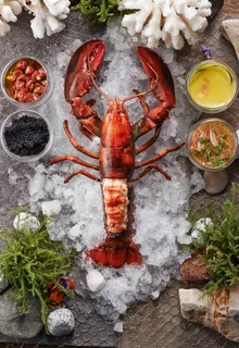 大龙虾图片 大龙虾图片
