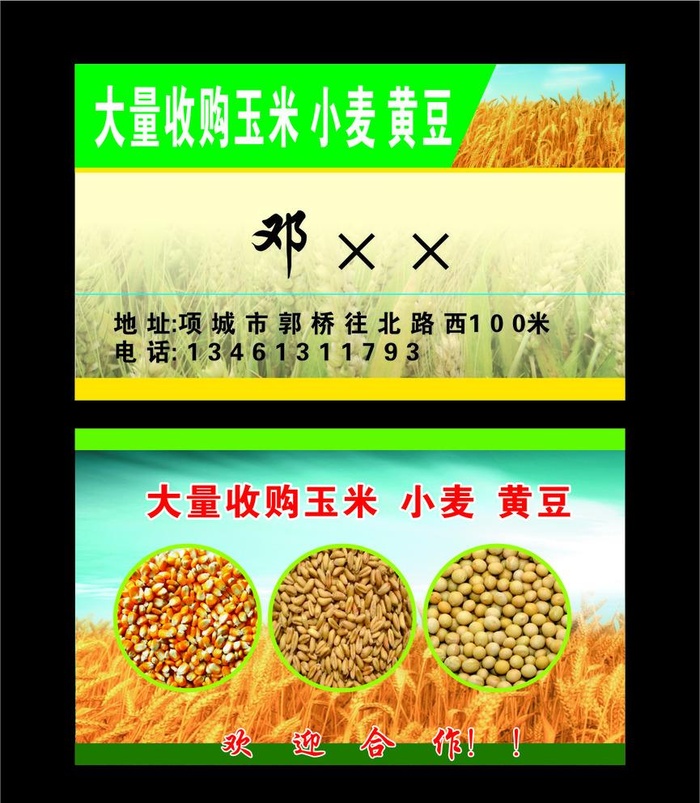收购玉米名片图片