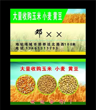 收购玉米名片图片