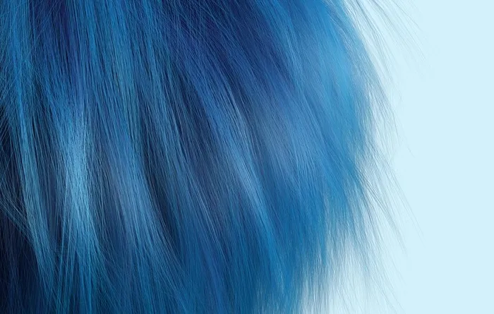 头发图片(5000x3333)