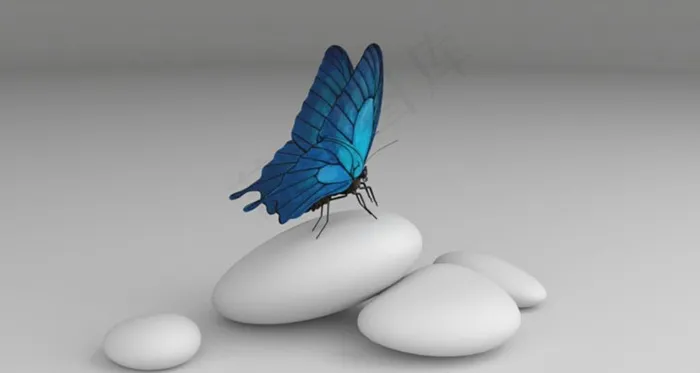 C4D模型蝴蝶飞舞动作动画图片