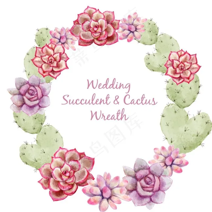 水彩多肉植物图片