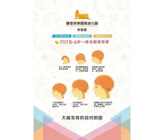 幼儿园  最佳伙伴  早教图片