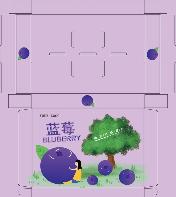 蓝莓盒图片ai矢量模版下载