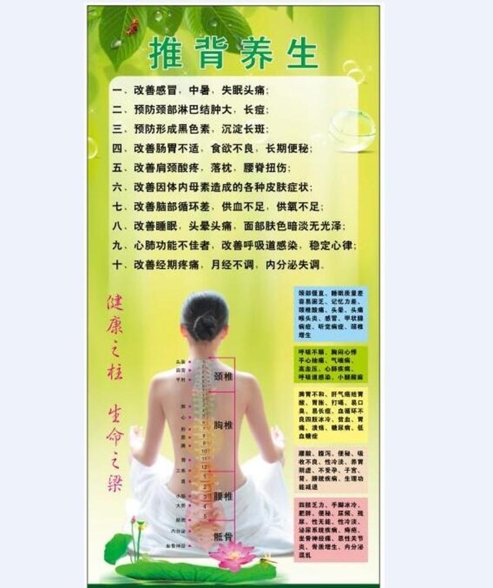 养生图片cdr矢量模版下载