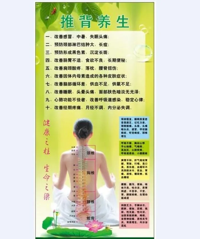 养生图片cdr矢量模版下载