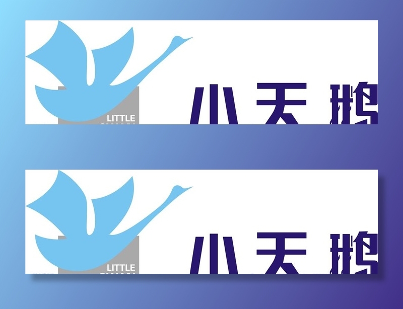 小天鹅图片