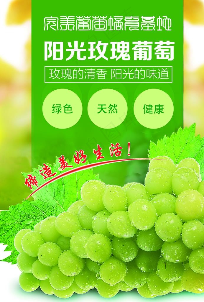 阳光玫瑰葡萄图片psd模版下载