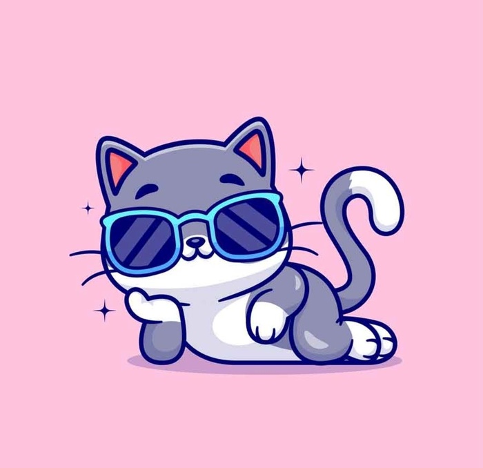 小猫图片