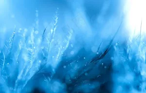 蓝色背景图片