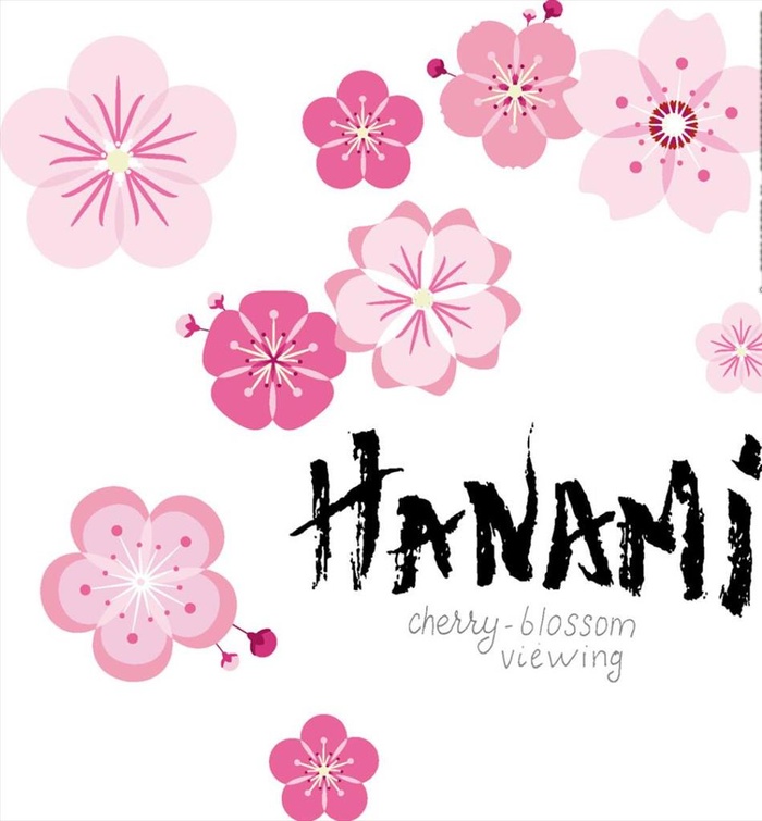 樱花 小菊花 雏菊 粉色图片