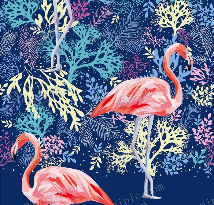 矢量火烈鸟图片