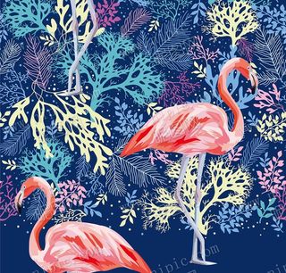 矢量火烈鸟图片