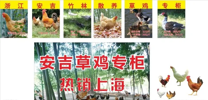 土鸡图片cdr矢量模版下载