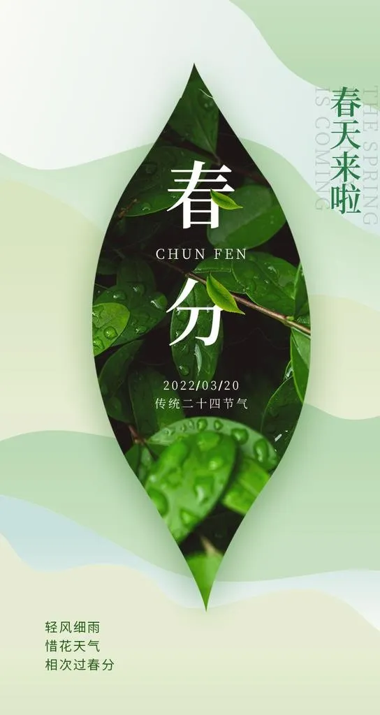 春分图片(750x1334)psd模版下载