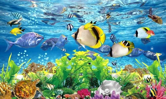 海洋馆壁纸图片 海洋馆壁纸图片