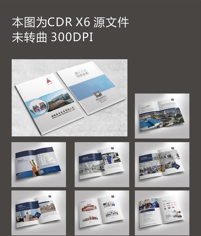 包装印刷厂画册 企业画册图片cdr矢量模版下载