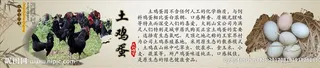 土鸡土鸡蛋产品展示图片