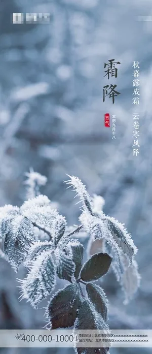 霜降图片 霜降图片