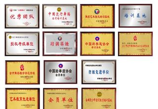 木托奖牌大全图片