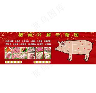 猪肉分解示意图图片