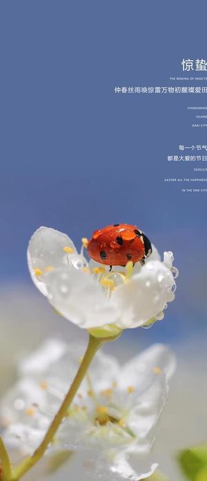 惊蛰节气海报图片