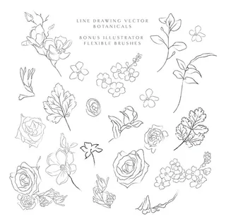 线描花图片