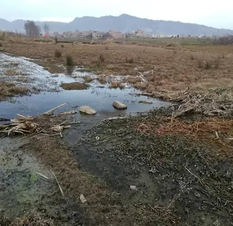 乡村田野荒地风景图片