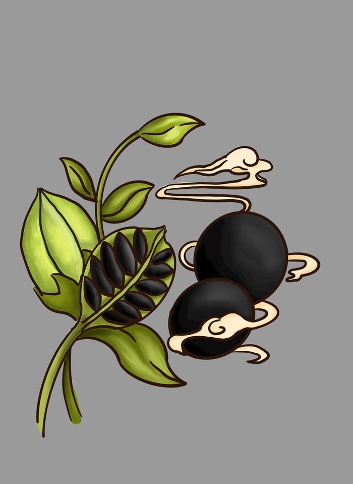 黑芝麻丸图片(2480x3508)psd模版下载