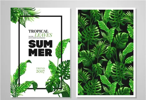 龟背叶图片 龟背叶图片