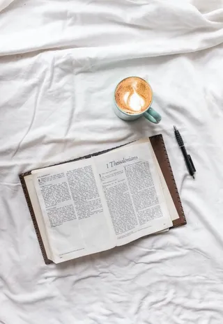 笔             图片