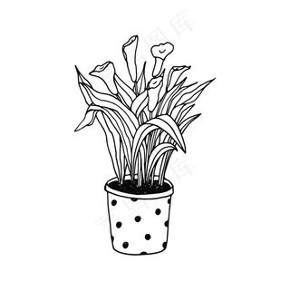 植物线稿图片