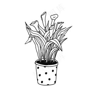 植物线稿图片