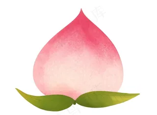 桃子图片