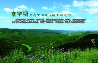 塞罕坝生态文明建设图片