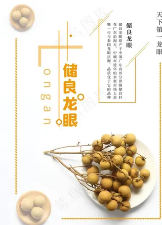 储良龙眼水果海报图片