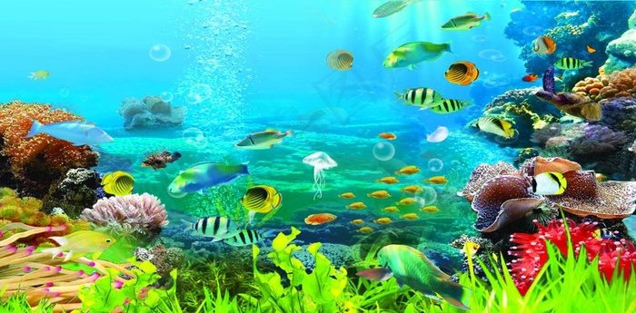 海底世界图片
