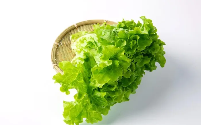 生菜特写图片