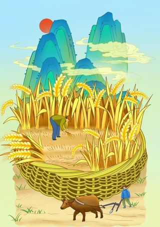 丰收麦子插画图片